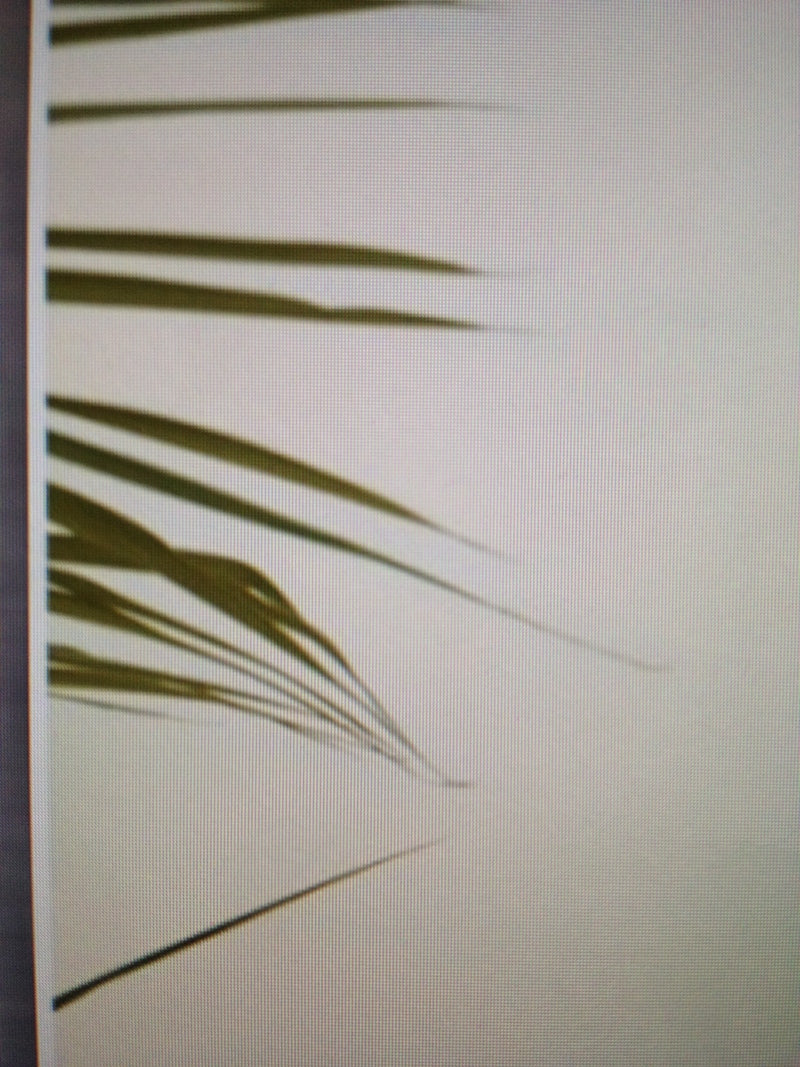 Vintage Jean Paul Gaultier Panel Shorts